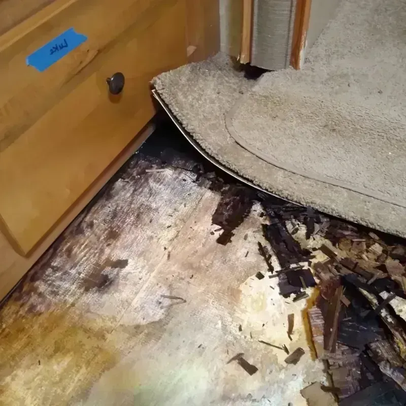 Wood Floor Water Damage in Fairfield, OH